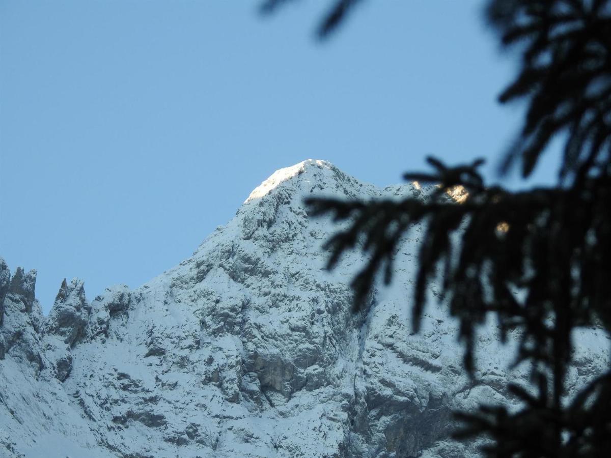 Braun Apartment Mittenwald